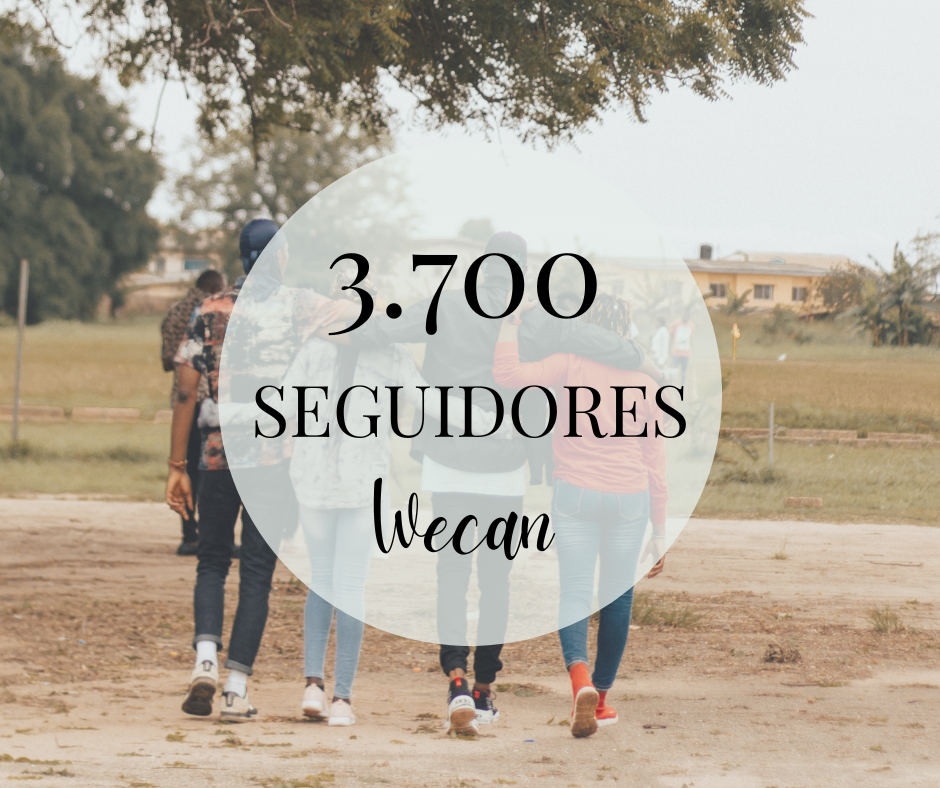 SEGUIDORES WECAN EN LINKEDIN